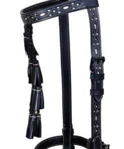 Spanish Bridle