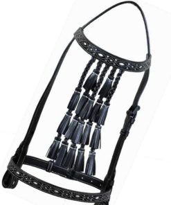 Spanish Bridle