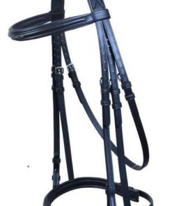 Leather Bridle