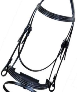 Leather Bridle