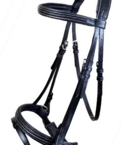 Leather Bridle