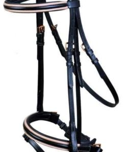 Leather Bridle