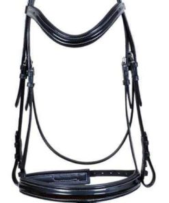 Leather Bridle