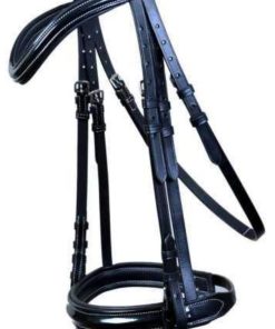 Leather Bridle