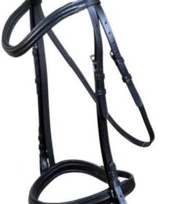 Leather Bridle