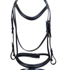 Leather Bridle