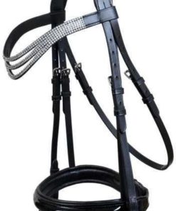 Leather Bridle