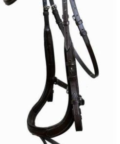 Leather Bridle