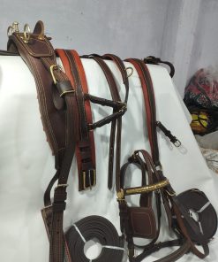 Carriage Driving Harness Set