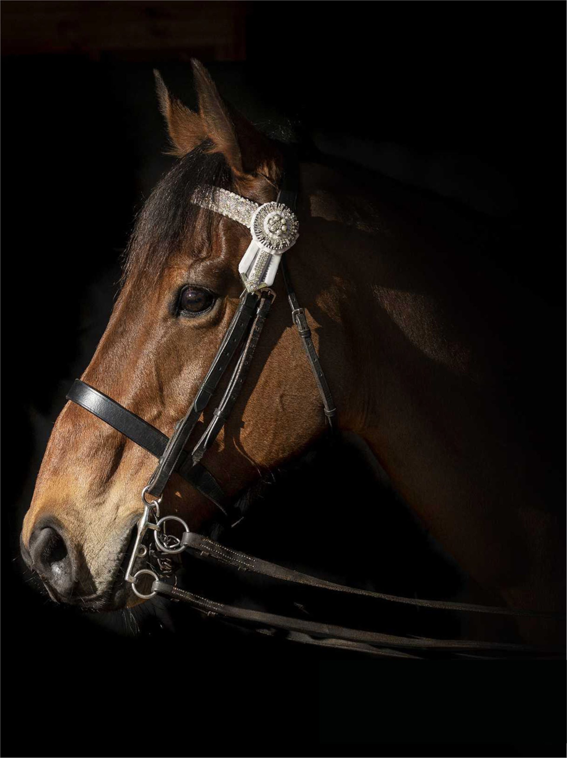 Leather Products Manufacturer in Kanpur – Ibrahim International